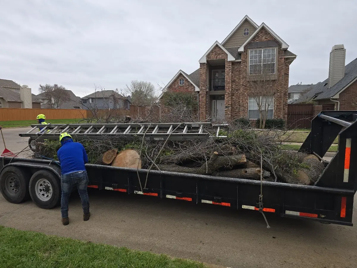 Expert Lot Clearing with proper safety equipment in Hawthorne